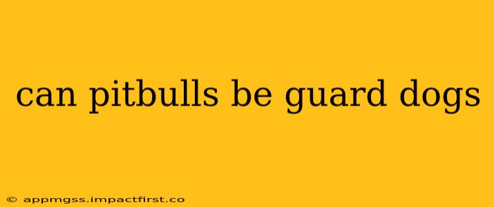 can pitbulls be guard dogs