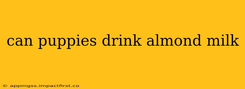 can puppies drink almond milk