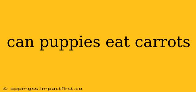 can puppies eat carrots