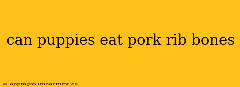 can puppies eat pork rib bones