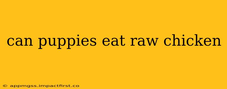 can puppies eat raw chicken
