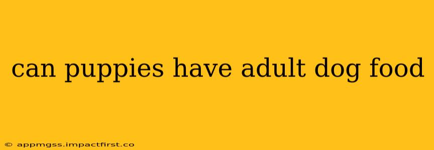 can puppies have adult dog food