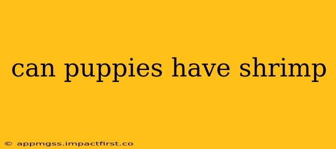 can puppies have shrimp