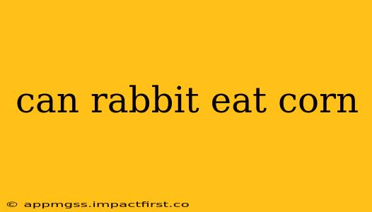 can rabbit eat corn
