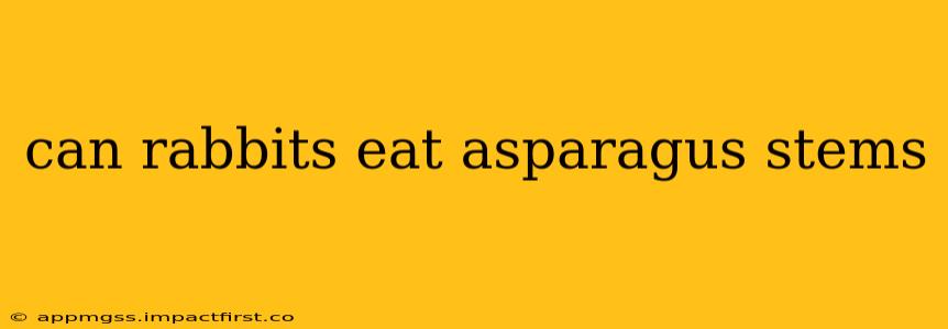 can rabbits eat asparagus stems