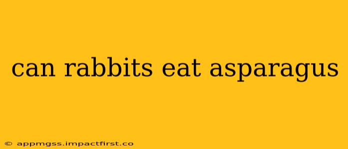 can rabbits eat asparagus