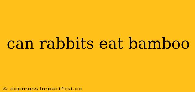 can rabbits eat bamboo