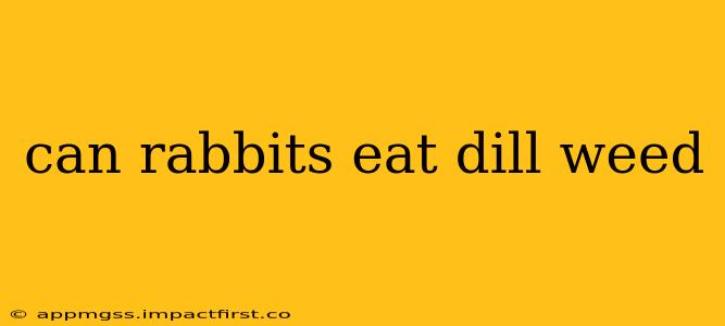 can rabbits eat dill weed