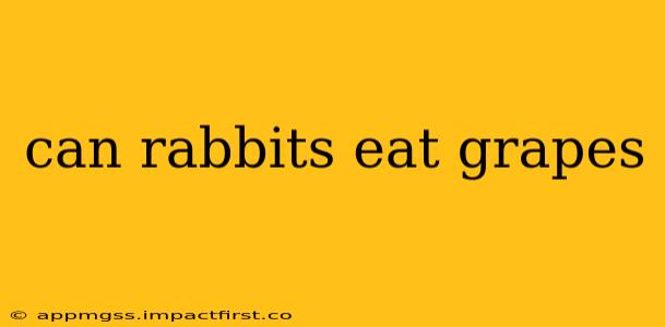 can rabbits eat grapes