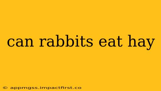 can rabbits eat hay