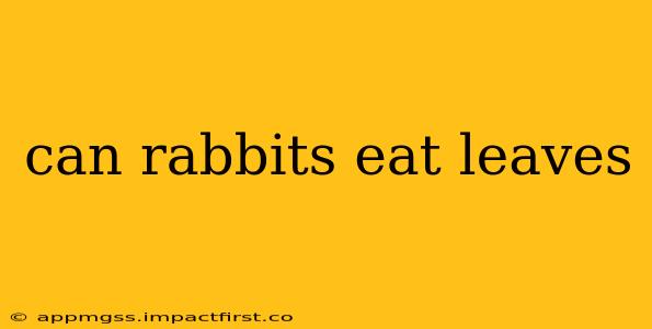 can rabbits eat leaves