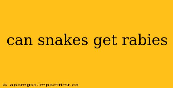 can snakes get rabies