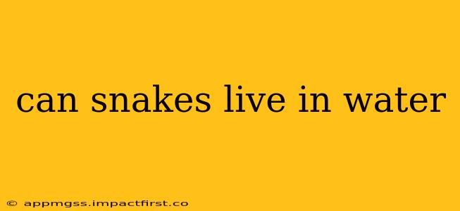can snakes live in water