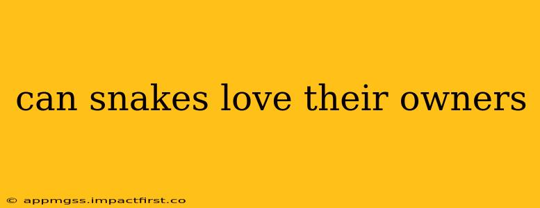 can snakes love their owners