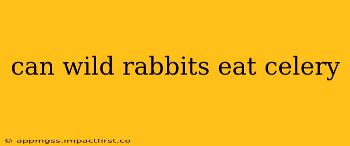 can wild rabbits eat celery
