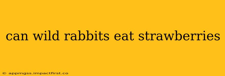 can wild rabbits eat strawberries
