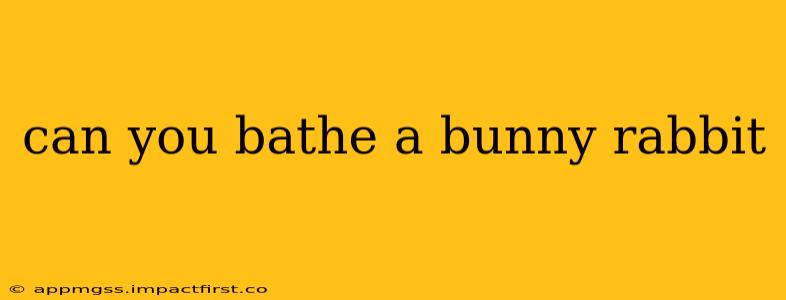can you bathe a bunny rabbit