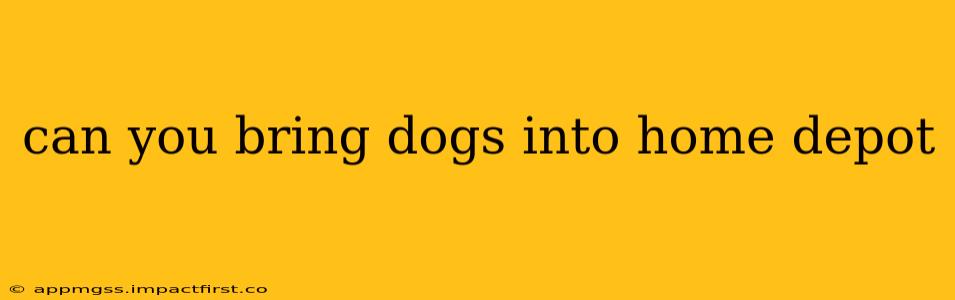 can you bring dogs into home depot