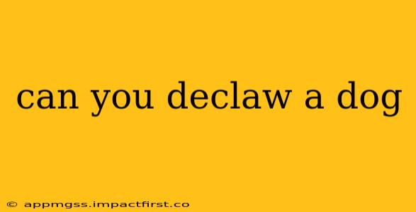 can you declaw a dog