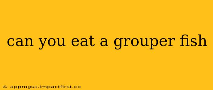 can you eat a grouper fish