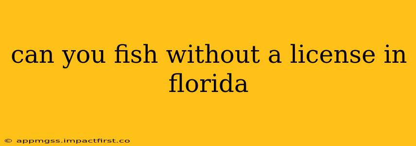 can you fish without a license in florida
