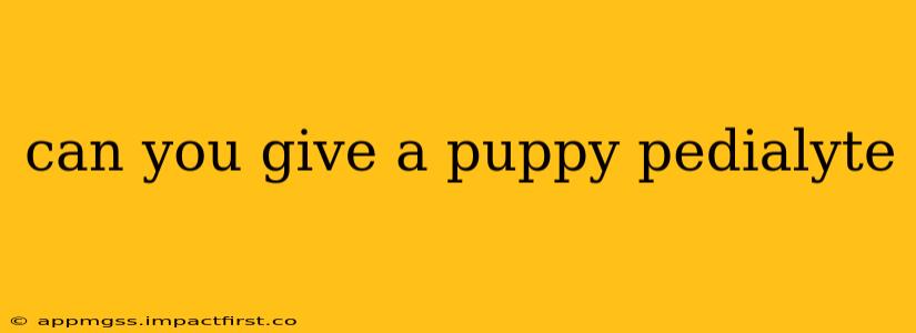 can you give a puppy pedialyte