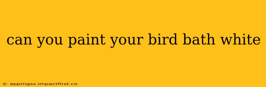 can you paint your bird bath white