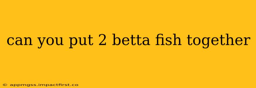 can you put 2 betta fish together
