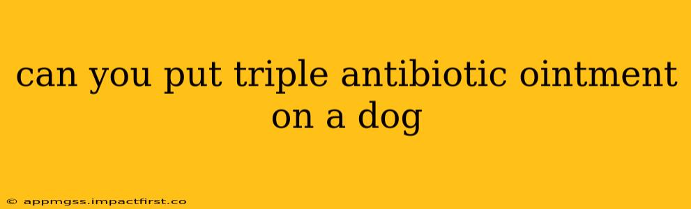 can you put triple antibiotic ointment on a dog