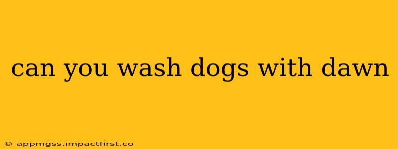 can you wash dogs with dawn