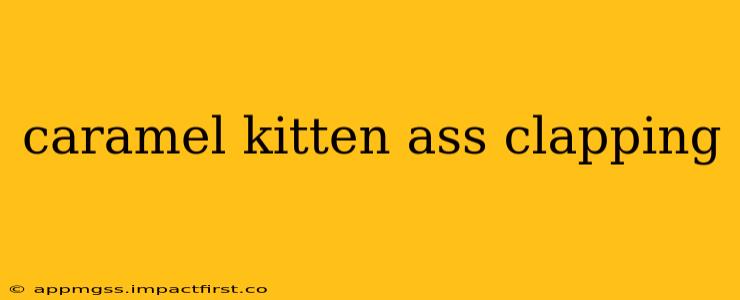 caramel kitten ass clapping caramel kitten ass clapping