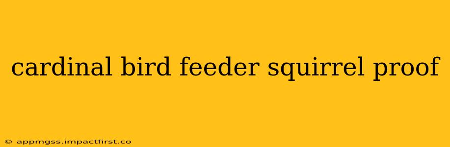 cardinal bird feeder squirrel proof