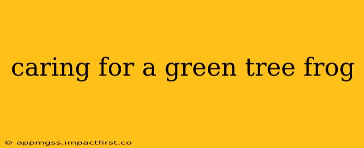caring for a green tree frog