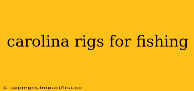 carolina rigs for fishing