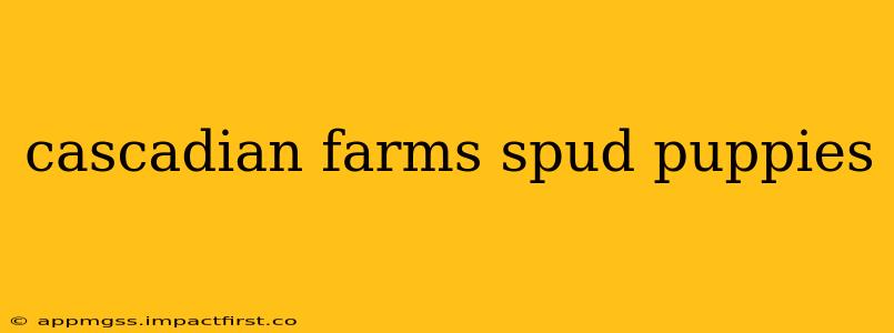 cascadian farms spud puppies