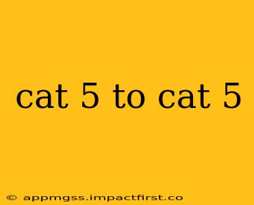 cat 5 to cat 5