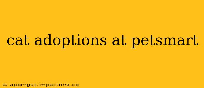 cat adoptions at petsmart