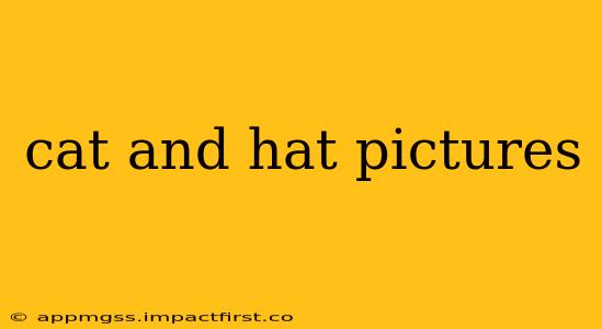 cat and hat pictures