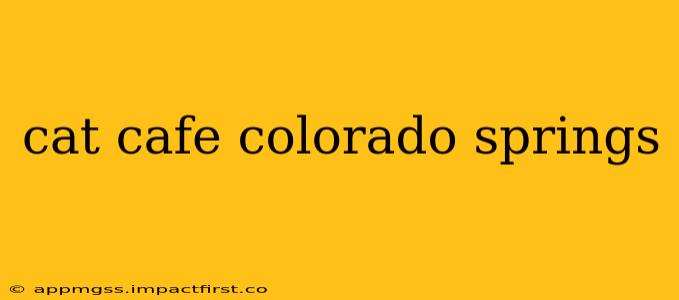 cat cafe colorado springs