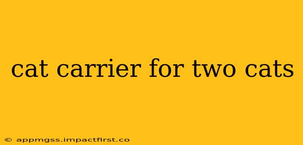cat carrier for two cats