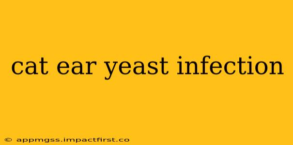 cat ear yeast infection