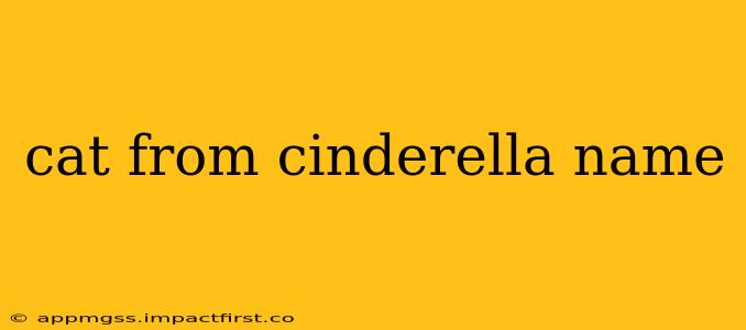 cat from cinderella name