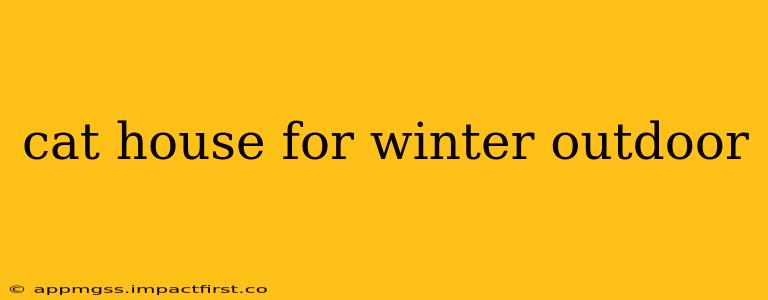 cat house for winter outdoor