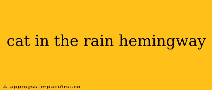 cat in the rain hemingway