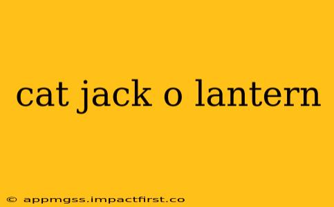 cat jack o lantern