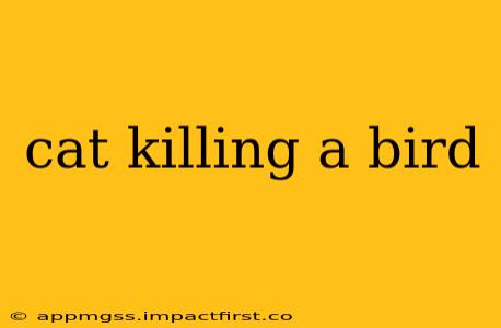 cat killing a bird