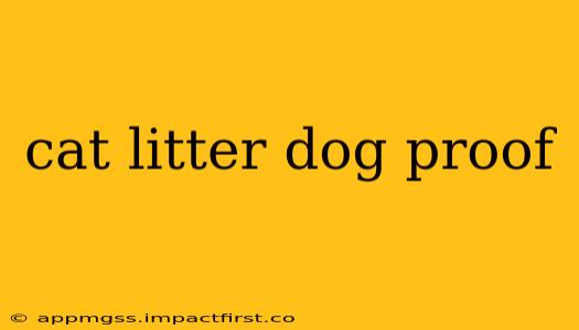 cat litter dog proof