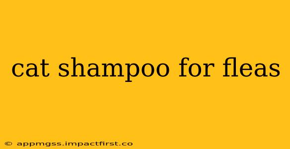 cat shampoo for fleas