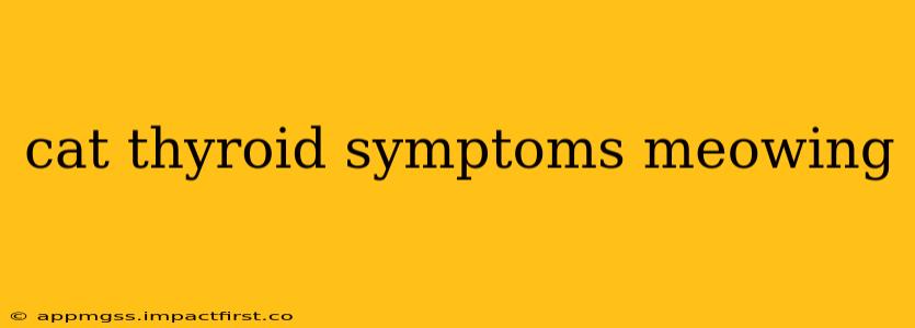 cat thyroid symptoms meowing
