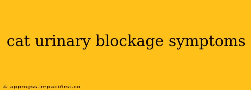cat urinary blockage symptoms